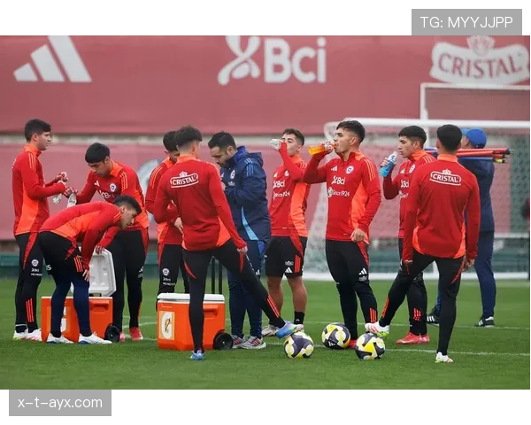 智利队世界杯前景分析：本届赛事表现值得期待