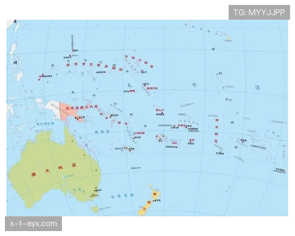 大洋洲国家杯最新赛况与积分榜分析